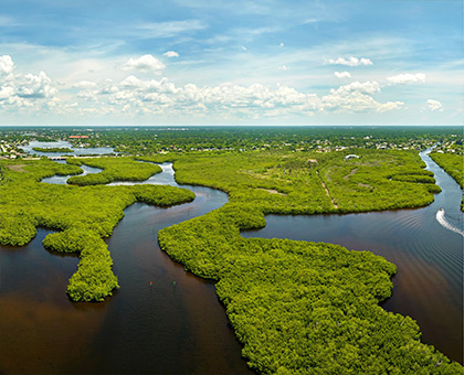 floride-Everglades