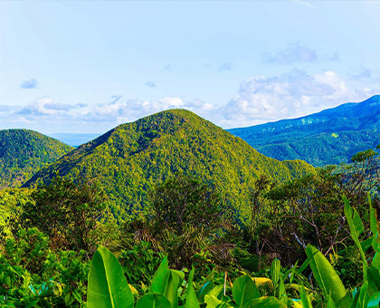 guadeloupe-montagne