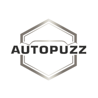 log-autopuzz