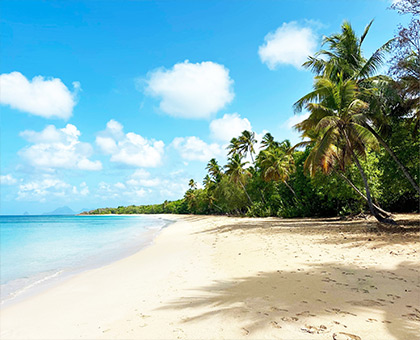 martinique-plage
