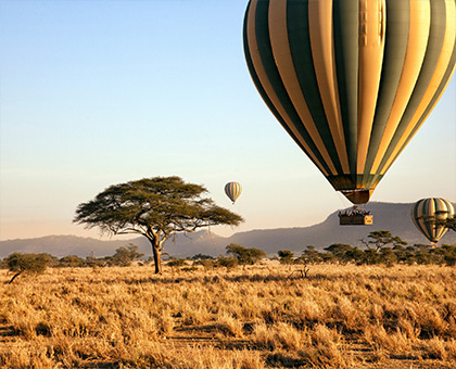 tanzanie-savane