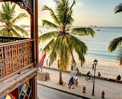 zanzibar-boerd-de-mer